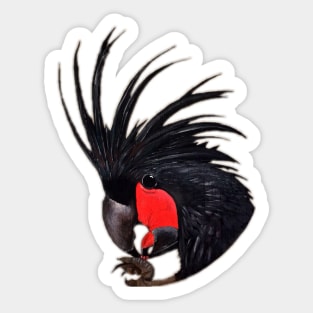 Palm Cockatoo Sticker